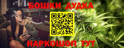 гидра Обь