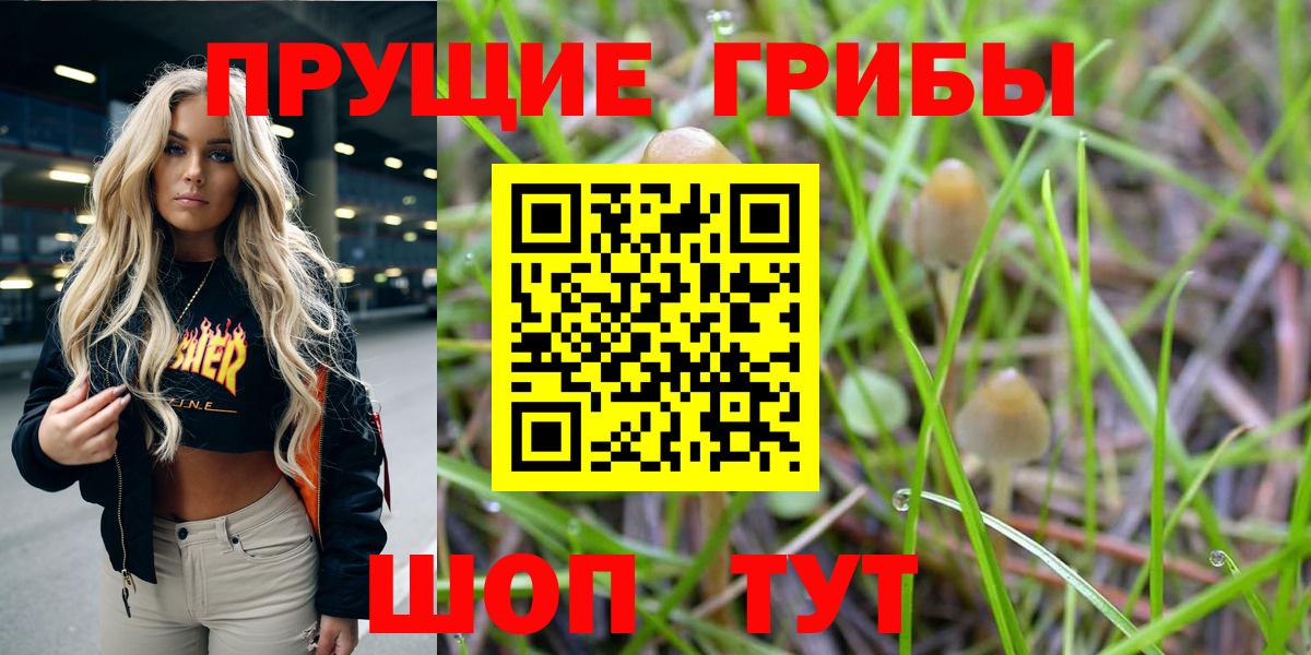 закладки  Вход с VPN  Галлюциногенные грибы ЛСД  Саяногорск  Галлюциногенные грибы Magic Shrooms 